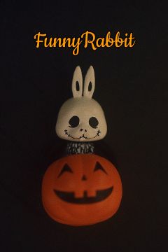 mini骷髅兔-资料图