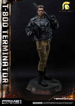 T-800 DX version-资料图
