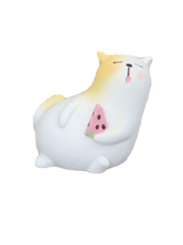 橘猫吃瓜