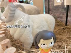 木头人-资料图