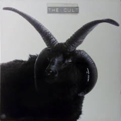 The Cult