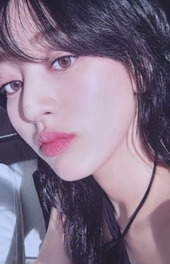 Y 版专卡 效 ver.B