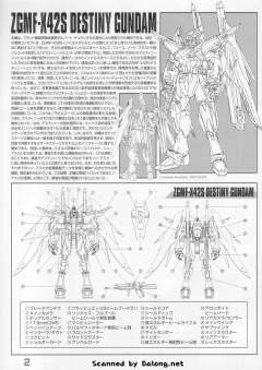 MG ZGMF-X42S 命运高达-资料图