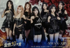 天鹅 第十届金曲大赏生写