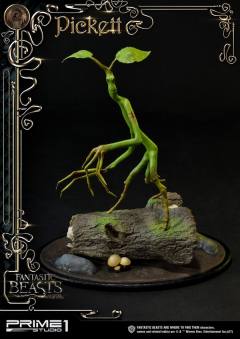 皮克特 