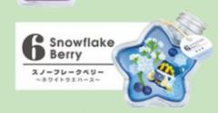 Snowflake Berry