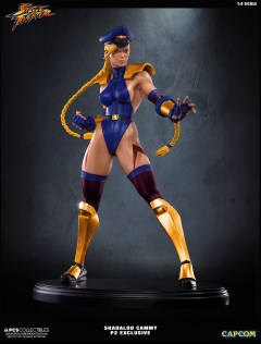 Mixed Media 嘉米·怀特 Shadaloo Cammy-资料图