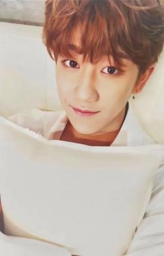 WHITE ver