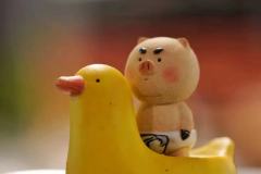 迷你奶瓶-陶瓷款-资料图