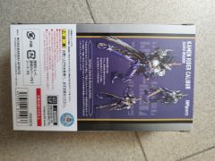 SHF 假面骑士 王剑 邪恶飞龙-资料图