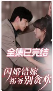 闪婚错嫁祁爷别贪欢