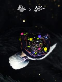 CoCo-资料图