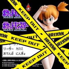 HG Series 小霞 -资料图