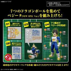 FRS 贝吉塔（NEW SPEC）-资料图