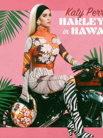 Harleys In Hawaii