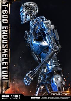 T-800 -资料图
