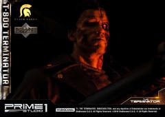 T-800 DX version-资料图