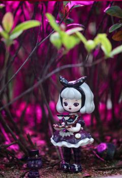 柴郡猫的酒会-资料图