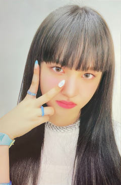 JC版 栗