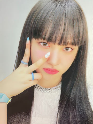 JC版 栗