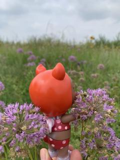 猪小朵儿-吹海风-资料图