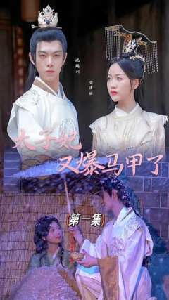 太子妃又爆马甲了