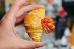 牛角包寄居蟹 -资料图