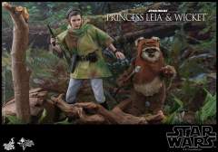 1:6比例珍藏人偶套装 莱娅公主及Wicket-资料图