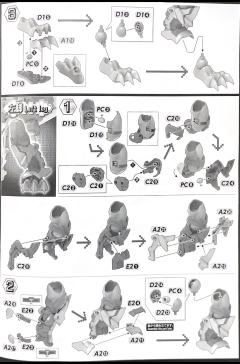 FRS Amplified 战斗暴龙兽-资料图