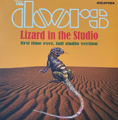 Lizard In The Studio