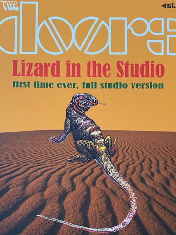 Lizard In The Studio