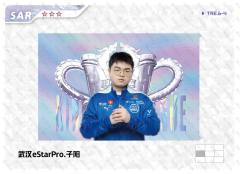 武汉eStarPro.子阳