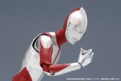 SHF  美弗拉斯-资料图