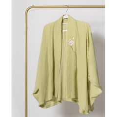 湘漓水畔宋制飞机袖-资料图
