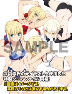 DreamTech LingerieStyle Series Saber 尼禄·克劳狄乌斯 Saber Alter Saber Lily -资料图