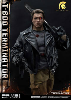 T-800 DX version-资料图