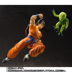 SHF 雅木茶-资料图