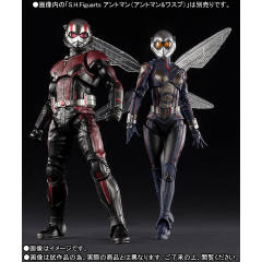 SHF 黄蜂女-资料图
