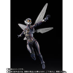SHF 黄蜂女-资料图
