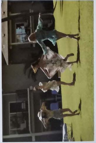 夏威夷pb团体明信片 ver.E