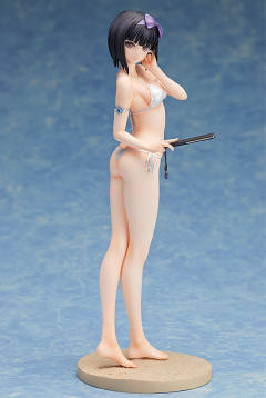 Shining Beach Heroines 雪姬-资料图