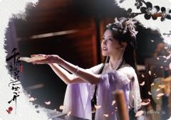 浮生若梦卡16