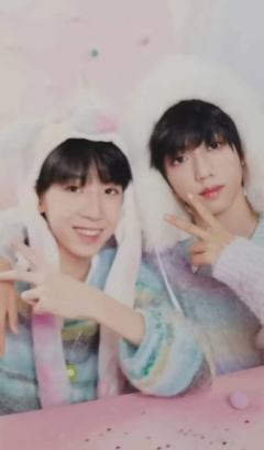 多巴胺快乐图鉴双人卡 文桂