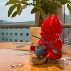 瓢虫雨衣-资料图