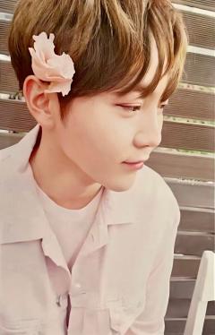 WHITE ver