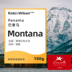 Montana巴拿马