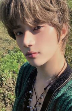 Daydream版专卡3 ver.A