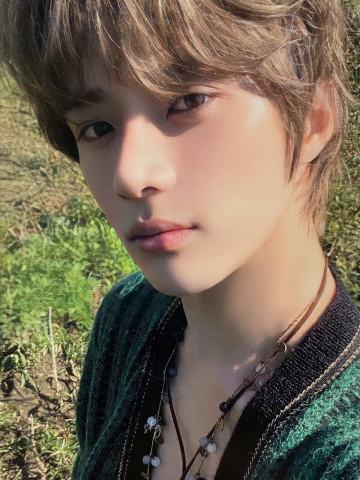 Daydream版专卡3 ver.A