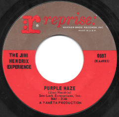 Purple Haze / The Wind Cries Mary