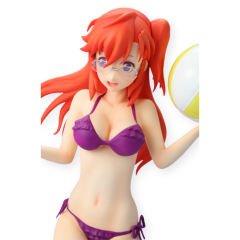Beach Queens 璃音 贵月一花 电击特别版-资料图